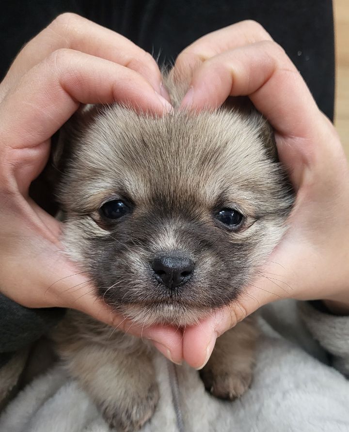 (공지라니... ++추가)새로생긴 회사 복지.. 미쳐서 도저히 일을 못하겠네.. (추가....)++추가 | 인스티즈