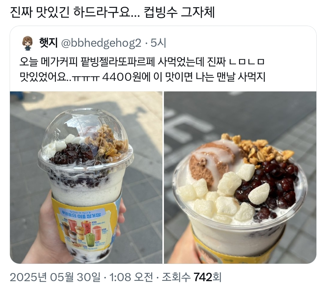 개맛있다vs개맛없다 치열하게 싸우는 중인 메가커피 신메뉴.twt | 인스티즈