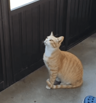 b1036673600bc4a36ae6be6780dec4bdc3d04264