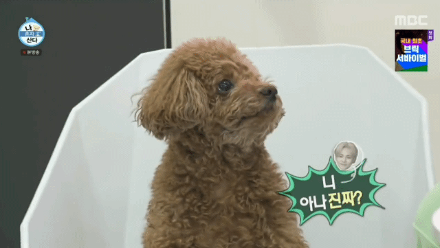 b1192c738e9e93c34ef986c60e3c9037b17e3c03