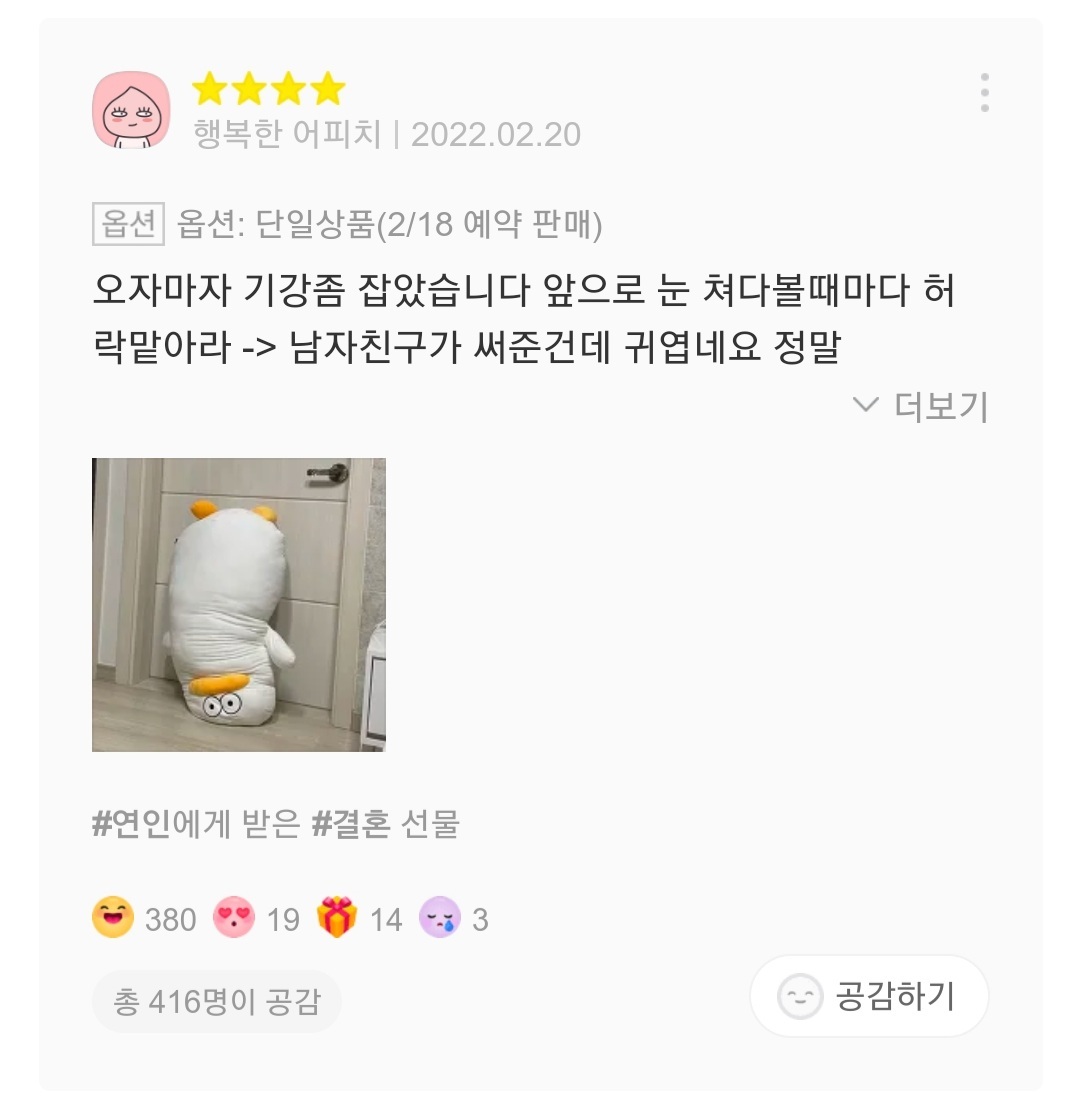 재치있는 오둥이 바디필로우 리뷰들 | 인스티즈