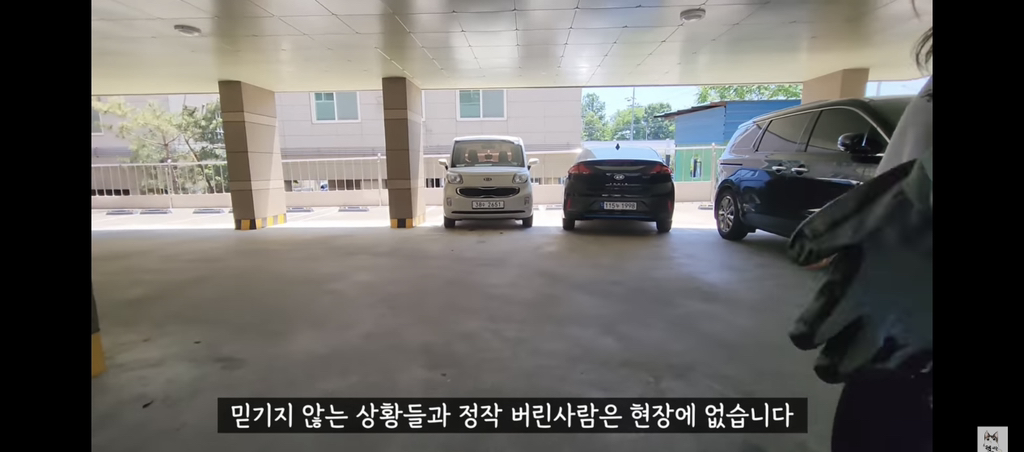 가족들 몰래 고양이를 갖다버린 아빠 | 인스티즈