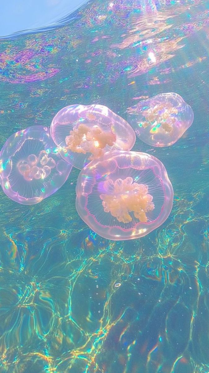 [책 속 문장] 슬픔이 유별나도 되는 곳으로 가고 싶다 | 인스티즈