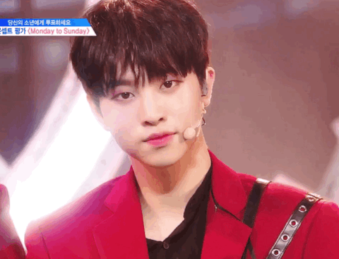 프듀X 콘셉트 평가곡 중 여시의 취향은?(투표 있음) | 인스티즈