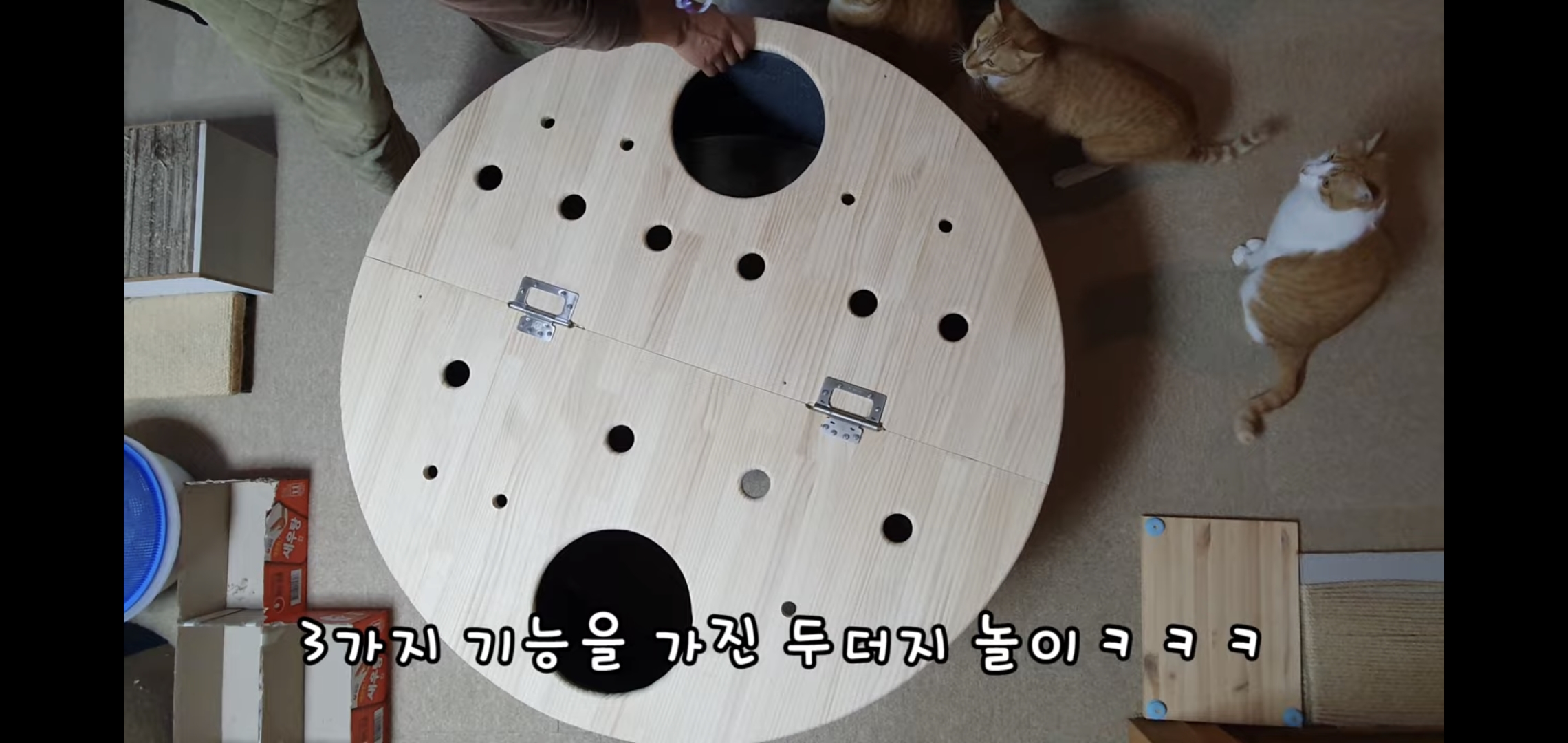 해괴한 고양이 장난감을 만들어낸 오늘자 매탈남.. jpg | 인스티즈