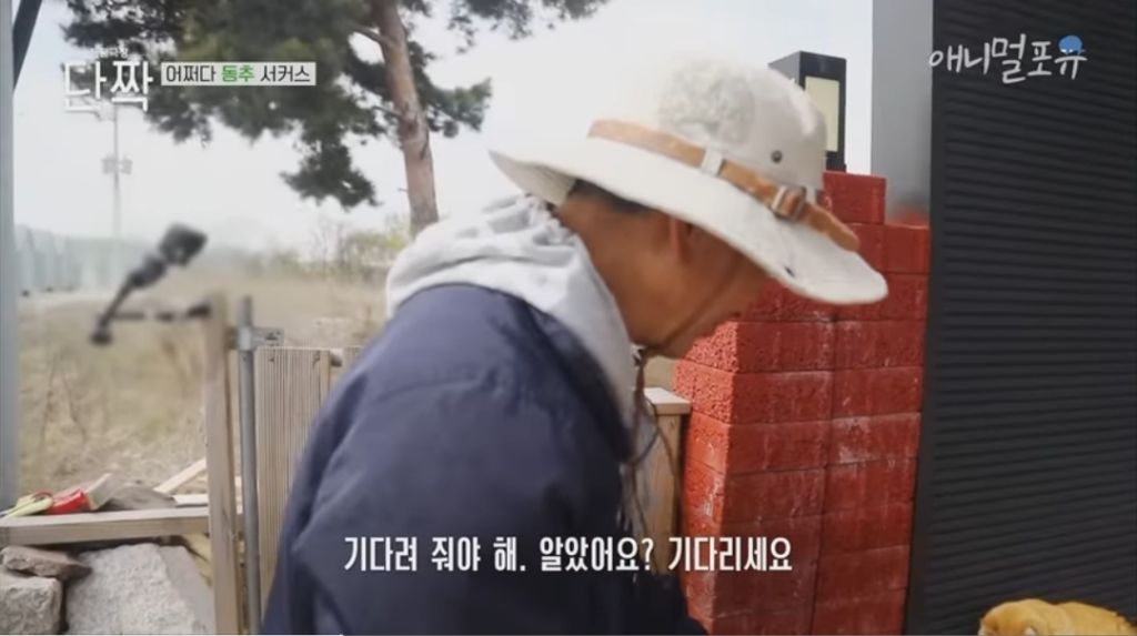 겁나 재밌게 사는 할아버지와 냥댕이들ㅋㅋㅋ.gif | 인스티즈