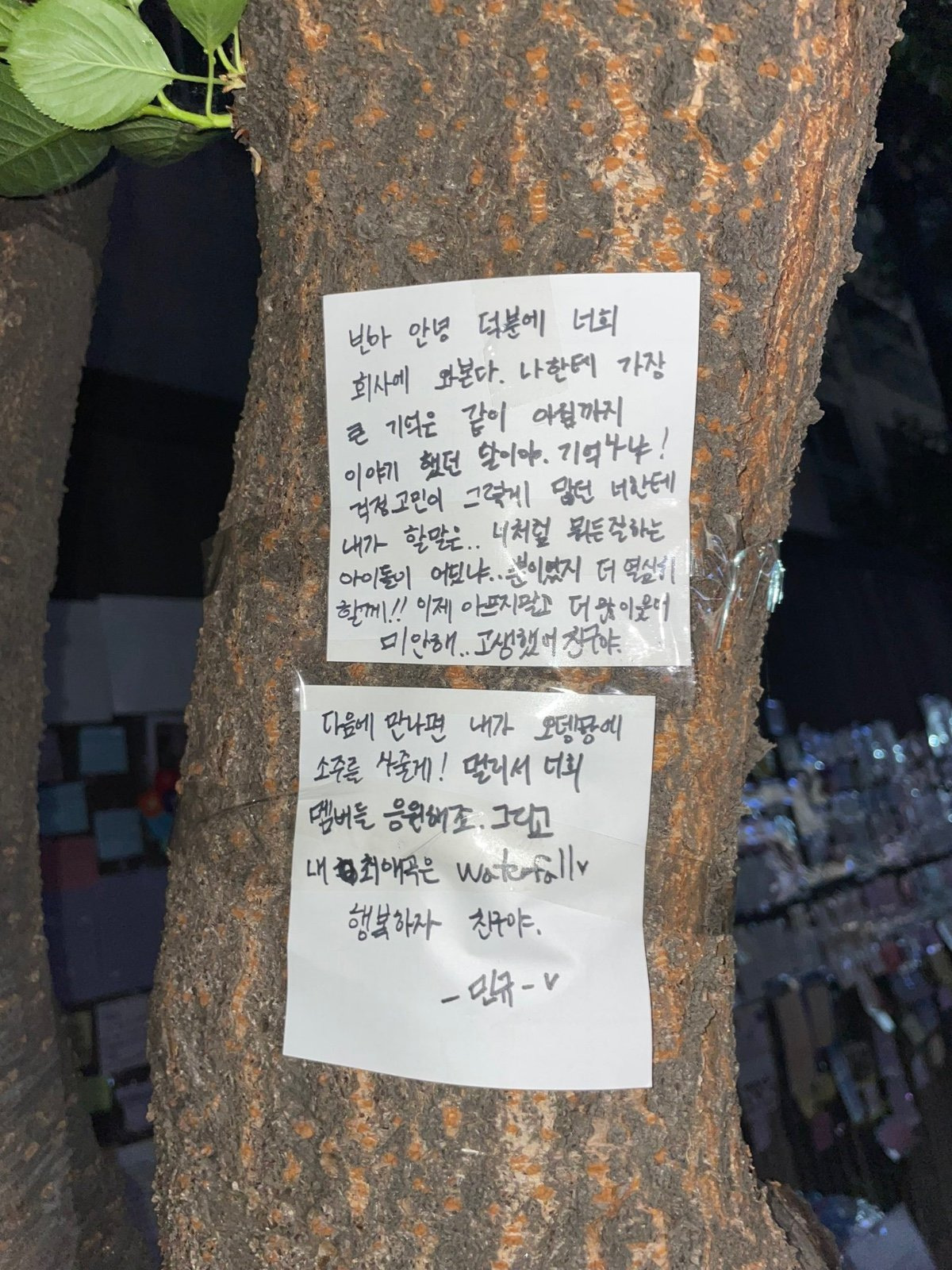 문MOON 이미지