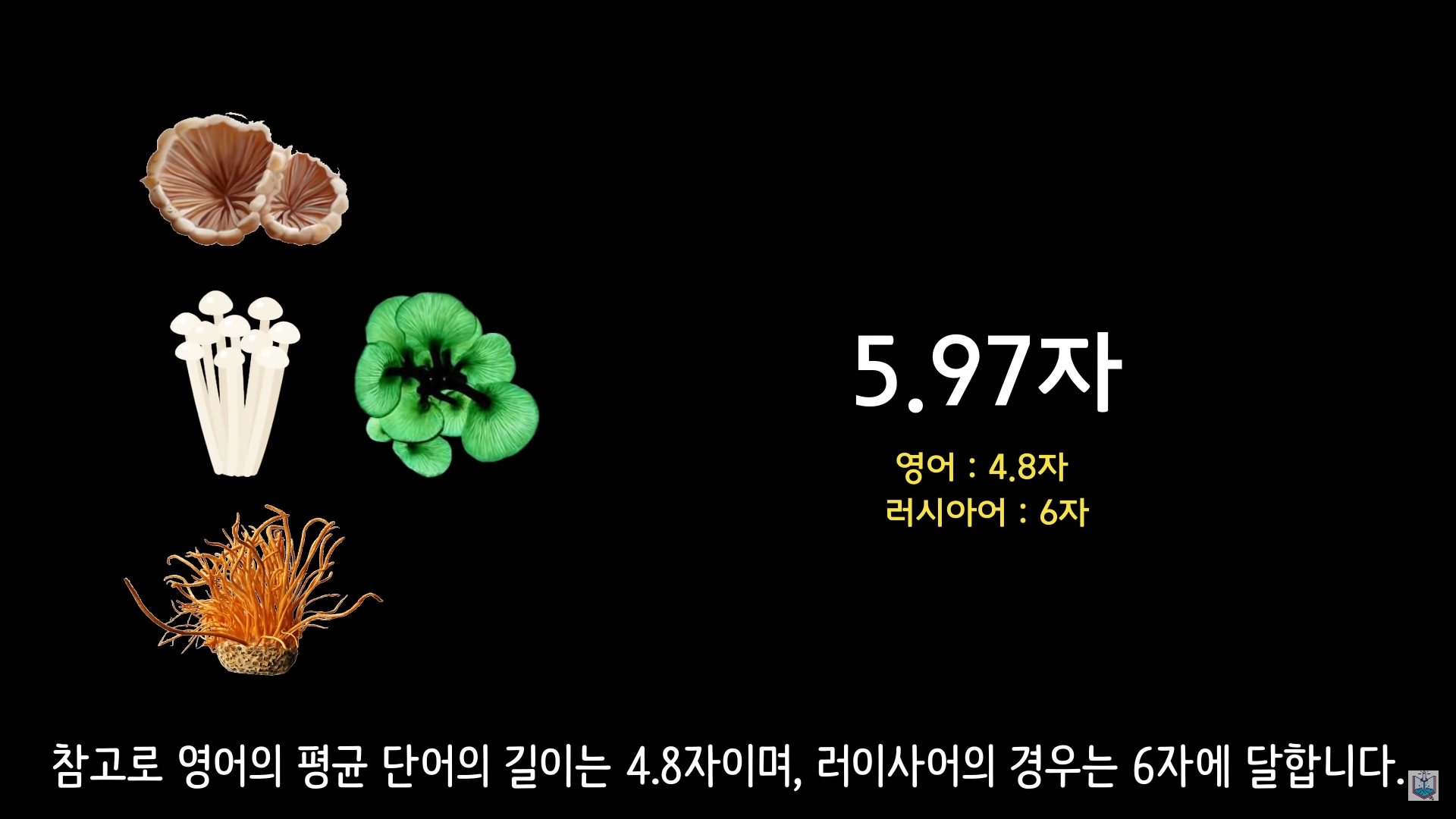 버섯이 단어와 문장을 사용해 서로 대화하고 있을지도 모른다고? | 인스티즈