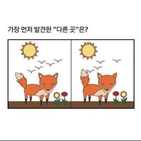 여우심리테스트 | 인스티즈