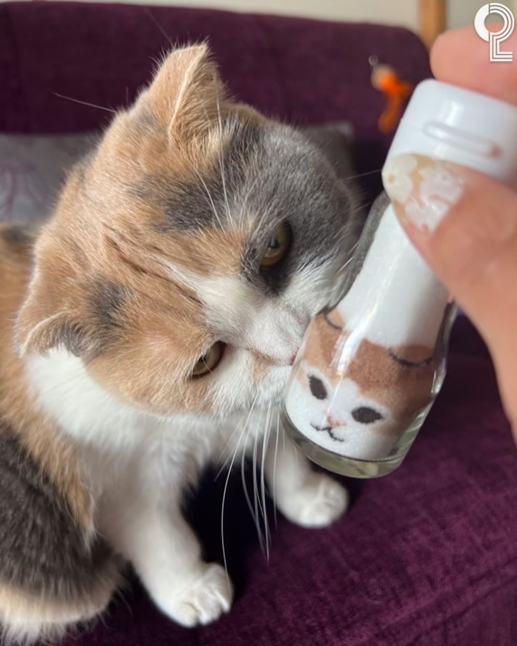 이소의 추진력 바라는 템 | 인스티즈