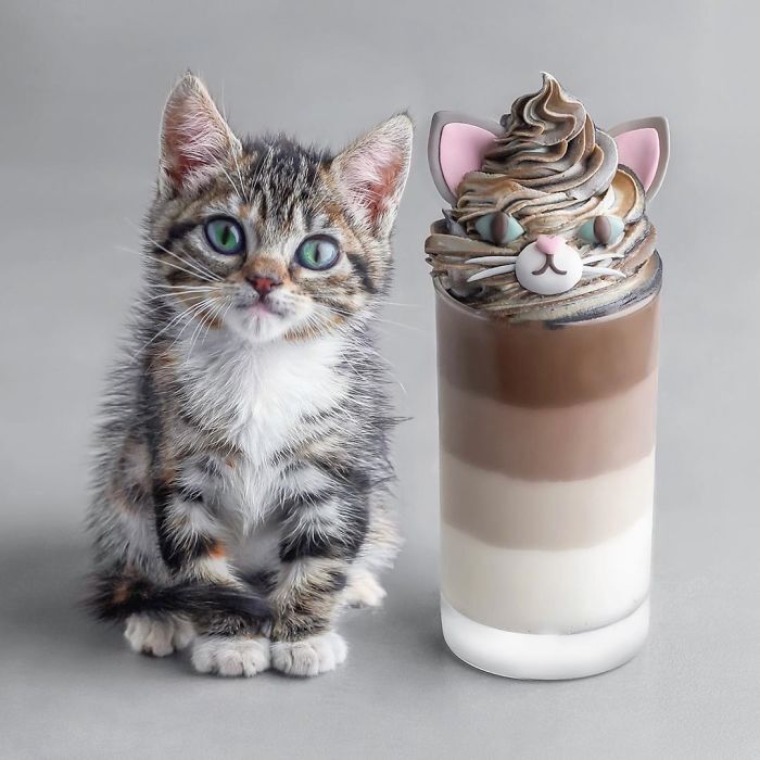 비건 채식주의자를 위한 디저트 | 인스티즈