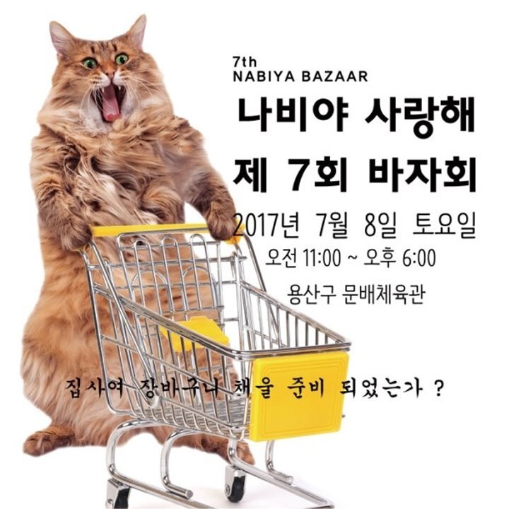 우리나라는 왜 고양이를 "나비야~"라고 부르게 됐을까 | 인스티즈