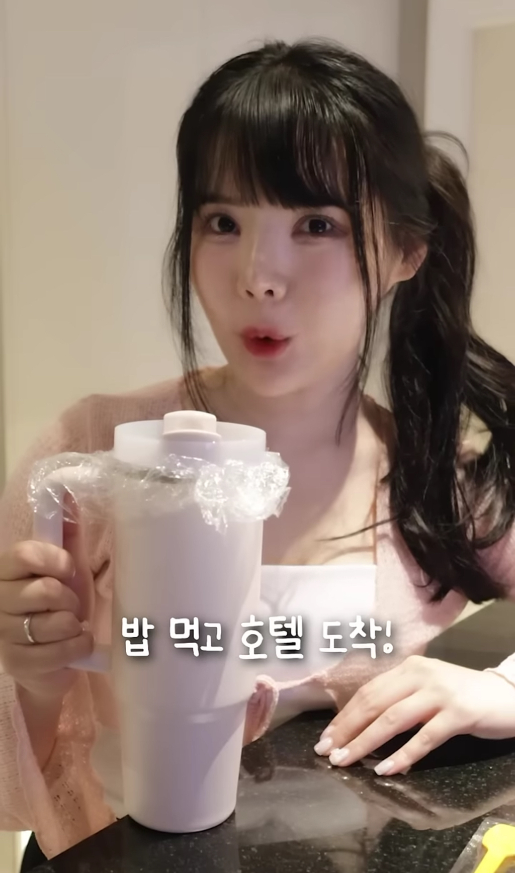 스탠리 텀블러에 요아정을 넣고 방콕 여행을 가면 녹을까 안 녹을까 | 인스티즈