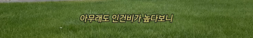 아이슬란드 하숙 한달살기 그런데 이제... | 인스티즈