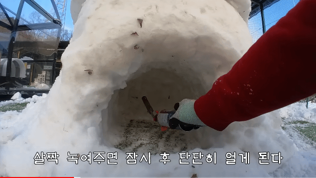 눈으로 집 만들어줬는데 갑자기 싸우는 하하하네 고양이들.gif | 인스티즈