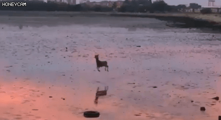 SM 프로듀서인 켄지가 부른 노래 | 인스티즈