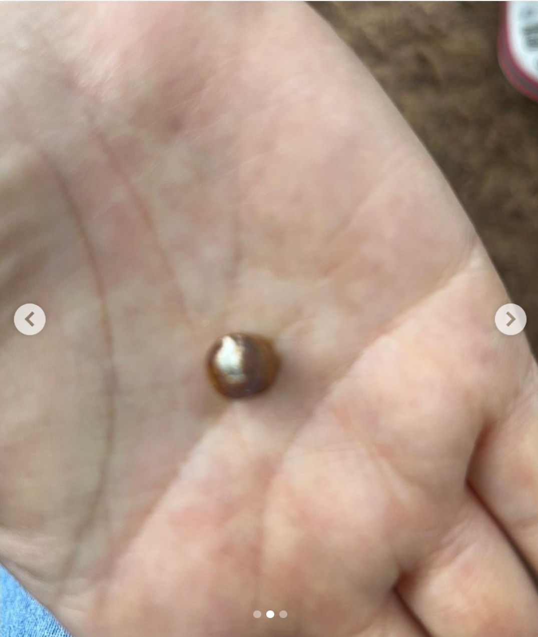 성수동에서 강아지 키우는 여시들 조심해! | 인스티즈