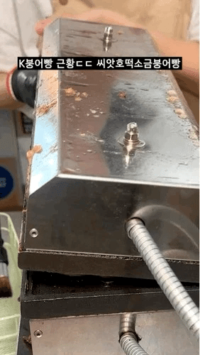 K붕어빵 근황 | 인스티즈