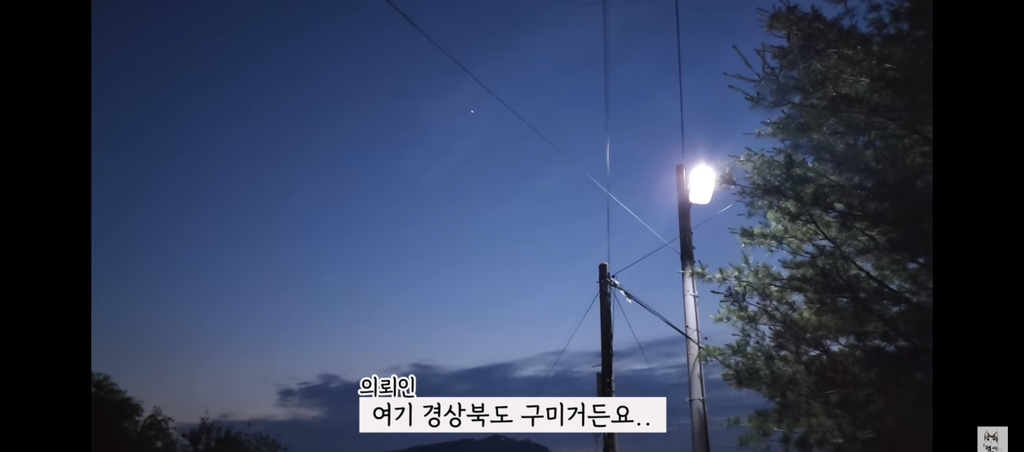 가족들 몰래 고양이를 갖다버린 아빠 | 인스티즈