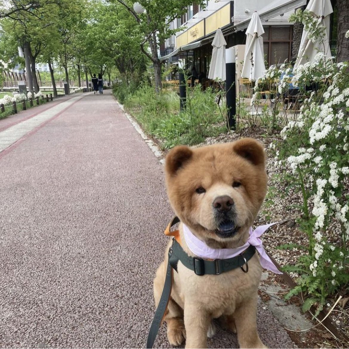 어느 팬(fan)의 선물로 시작된 테디의 안타까운 이야기 | 인스티즈