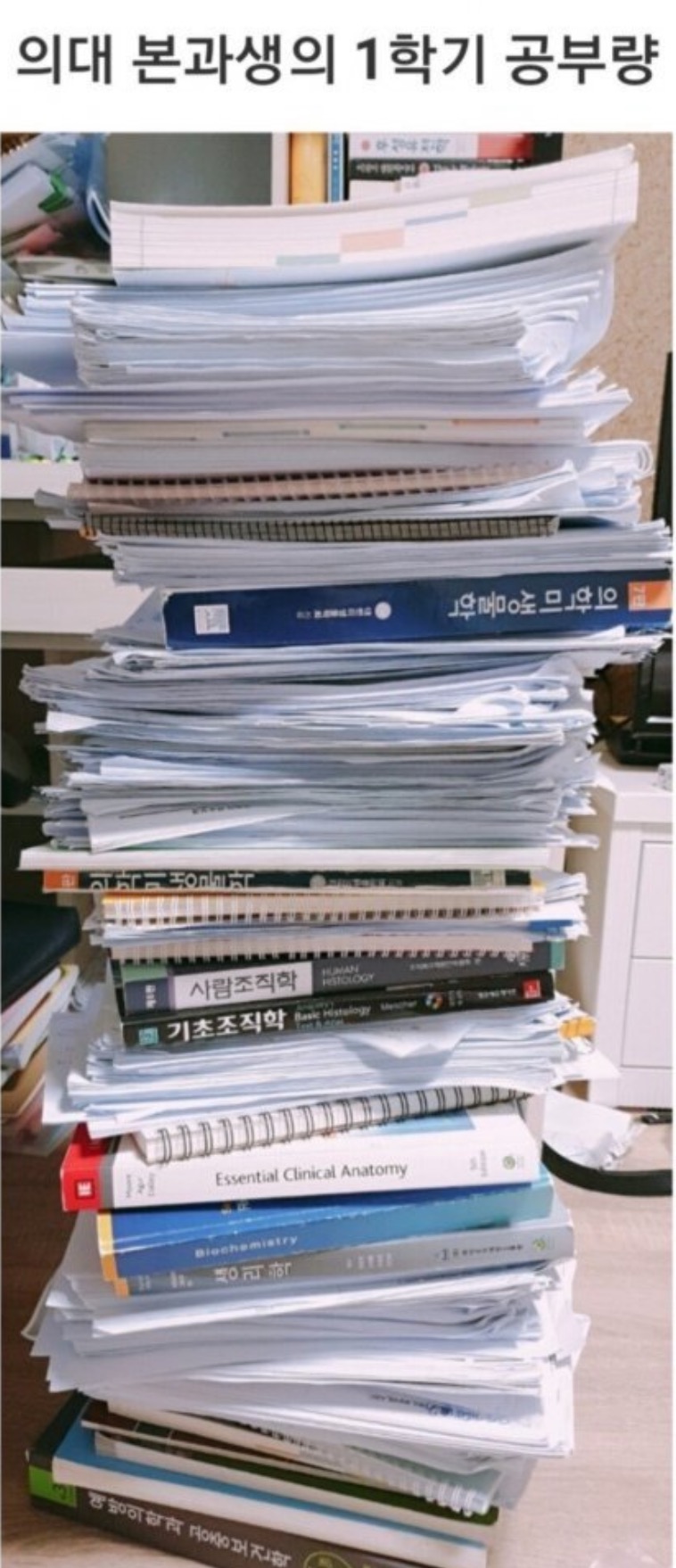 공부가 세상에서 제일 힘들다고 생각하는 달글 | 인스티즈