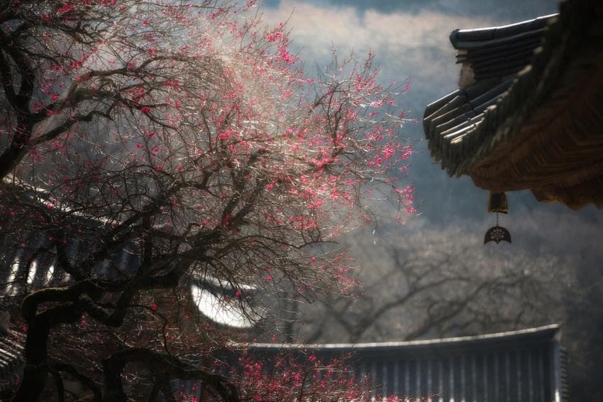 유명한 이미지
