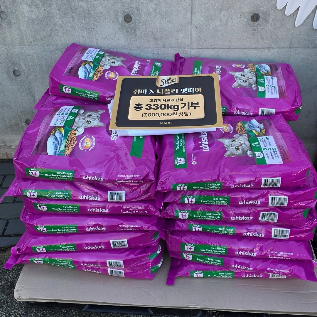 유기묘 보호소에 간식+사료 기부한 나폴리 맛피아 | 인스티즈