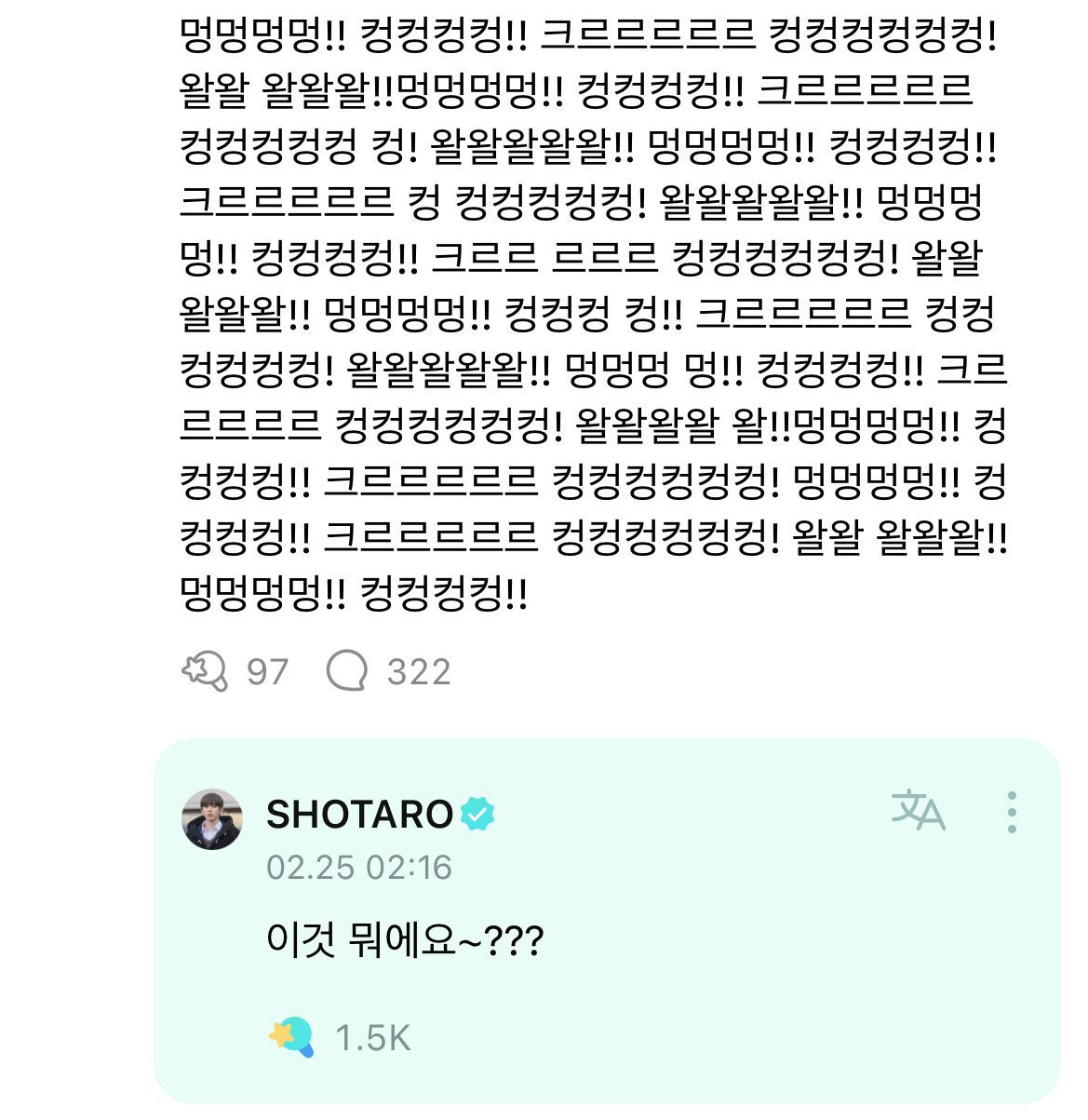 걍 2024년 밈 결산 그 자체인 탄핵 시위 피켓들 상태.twt | 인스티즈