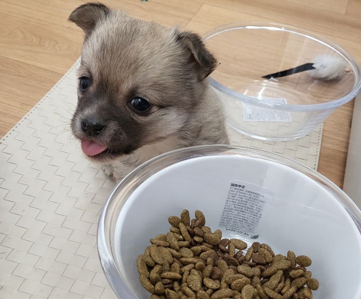 (공지라니... ++추가)새로생긴 회사 복지.. 미쳐서 도저히 일을 못하겠네.. (추가....)++추가 | 인스티즈