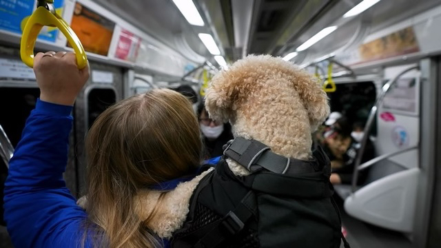 b2d67f3088d83b93962eff92c72f2163b66d10f1