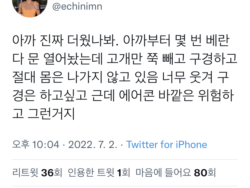 요새 고양이들 특 | 인스티즈