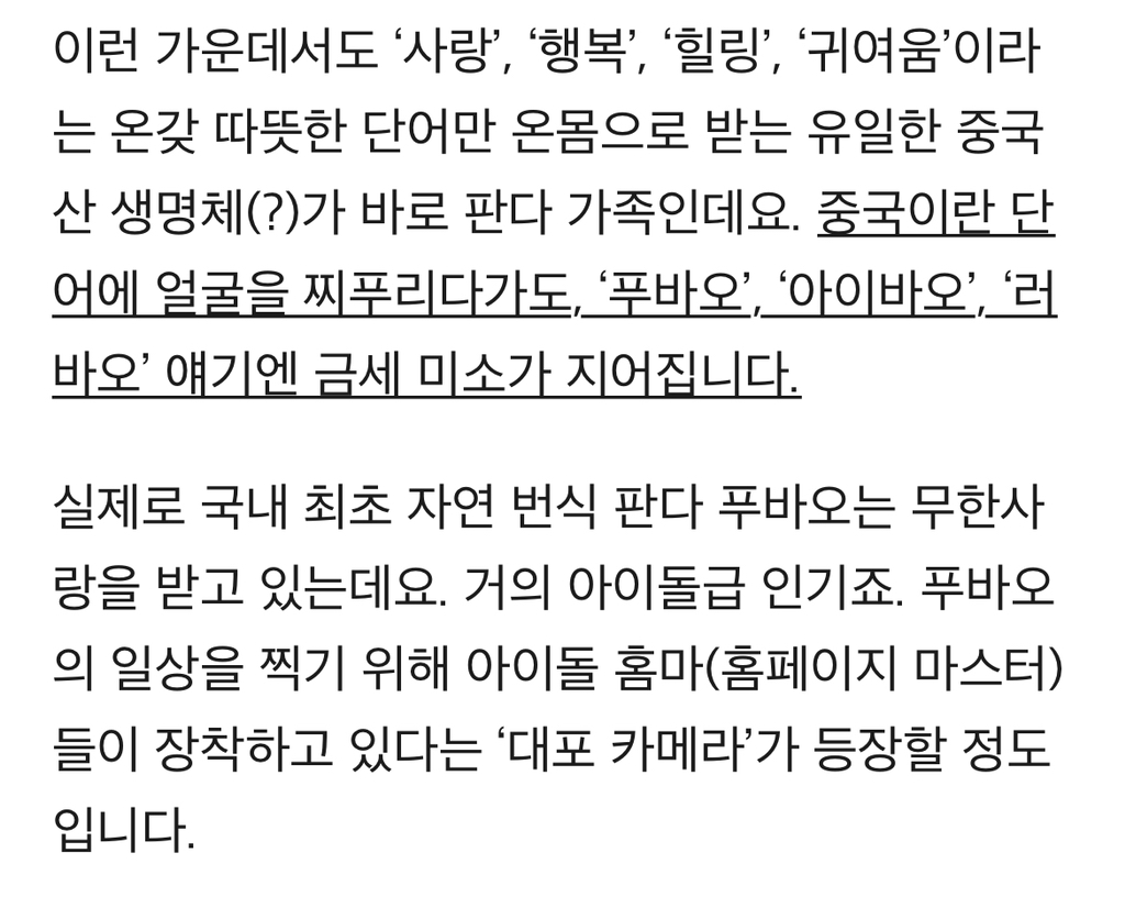 중국은 싫지만…푸바오·탕후루·마라탕은 예외 | 인스티즈