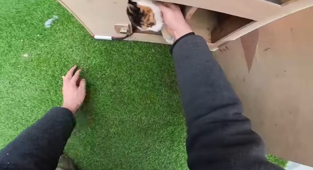 [haha ha] 하지 말라는 것만 골라서 하는 삼쪽이 | 인스티즈