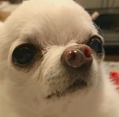 인스타 부계에 힘들때마다 올린짤 모음Zip | 인스티즈