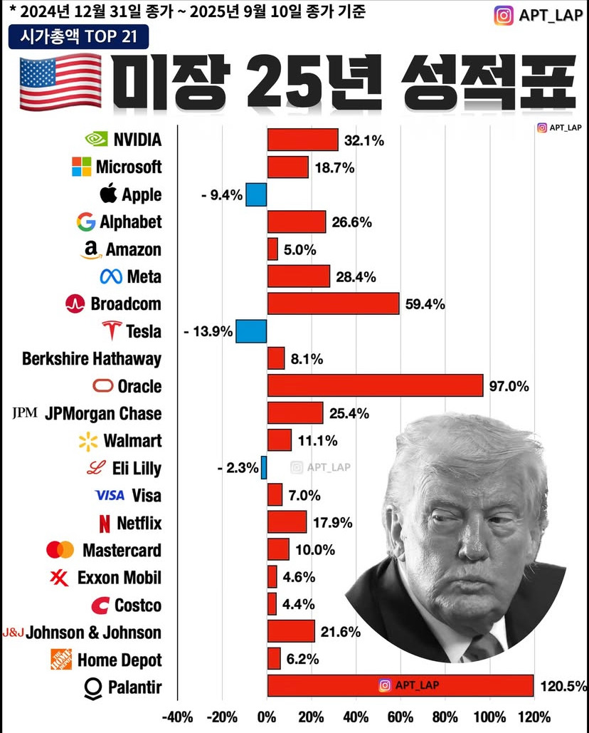 미국주식 시총 TOP 21 2025년 주가 상승률 - 악플달면 쩌리쩌려버려 - ＊여성시대＊ 차분한 20대들의 알흠다운 공간