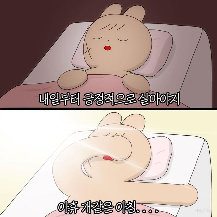 문장 뽑기: 인생에 힘이 되어주는 문장들이 들어있어요 | 인스티즈