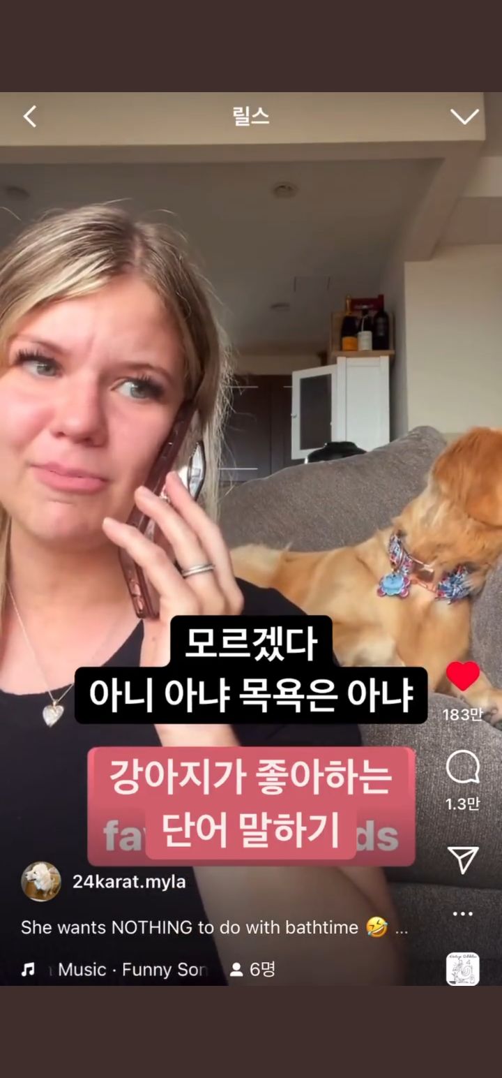 강아지가 좋아하는 단어 말하기 | 인스티즈