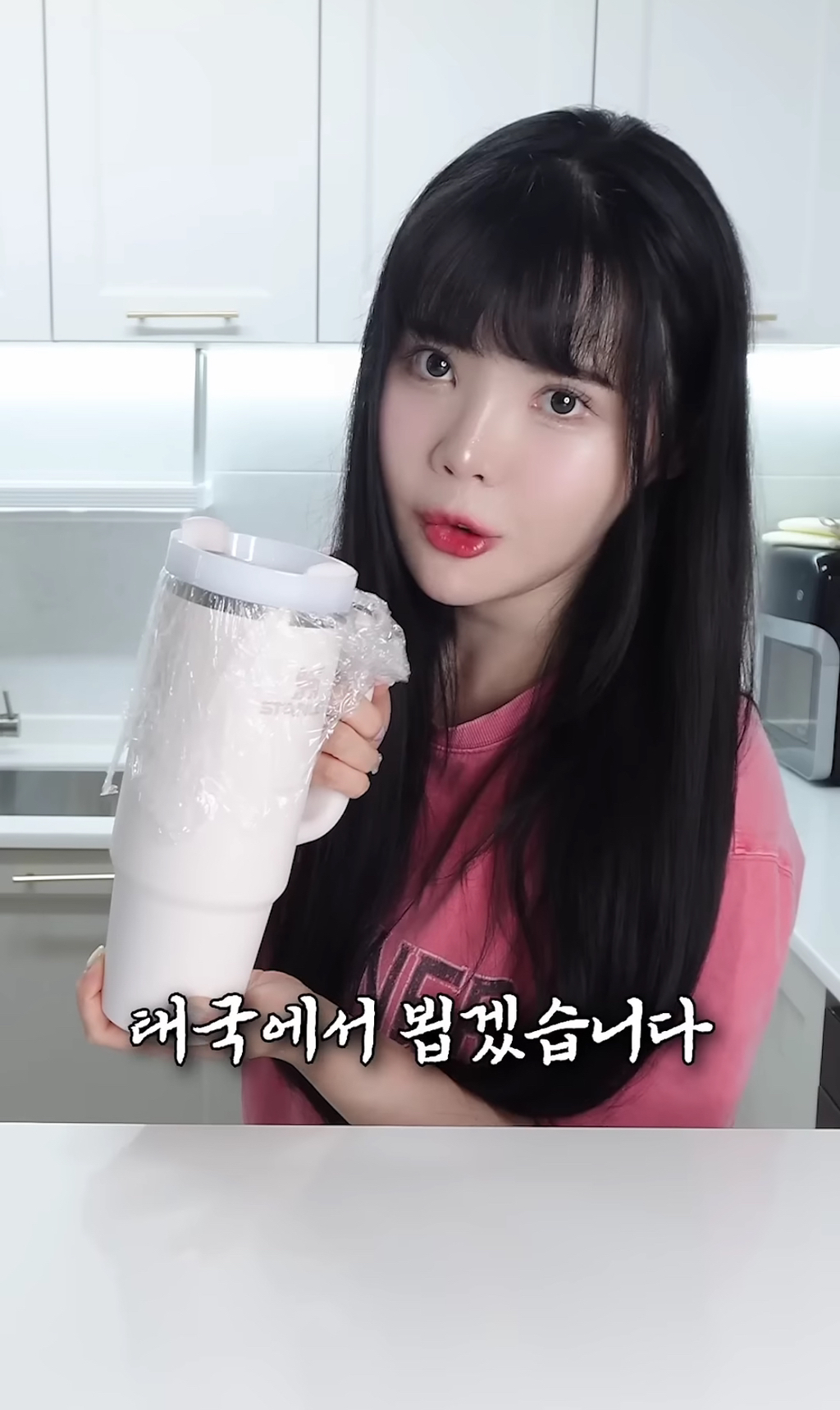 스탠리 텀블러에 요아정을 넣고 방콕 여행을 가면 녹을까 안 녹을까 | 인스티즈