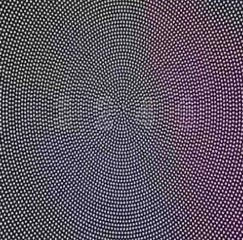 눈 건강 확인법 | 인스티즈