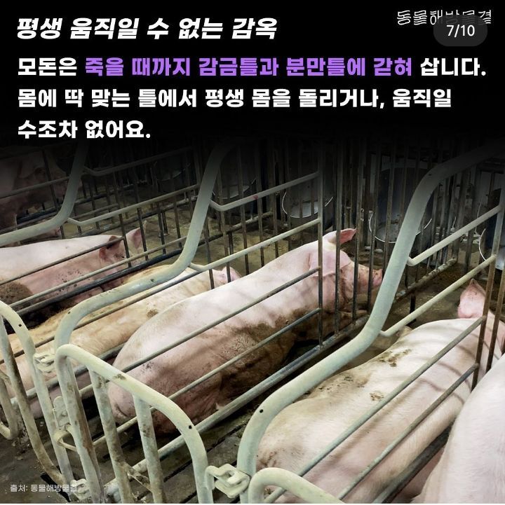 죽을때까지 강제 임신과 출산을 하는 출산기계 | 인스티즈