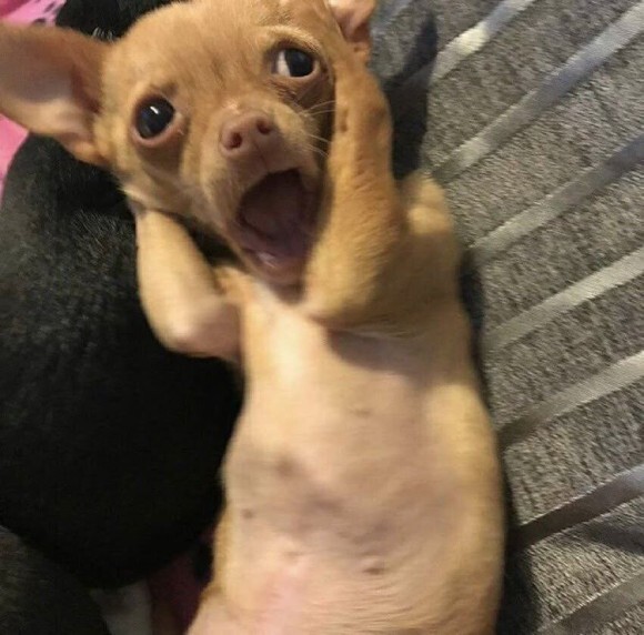 절 짝사랑하는 약혼녀한테 바람피는 걸 걸렸는데 도와주실 분… [내공100] | 인스티즈