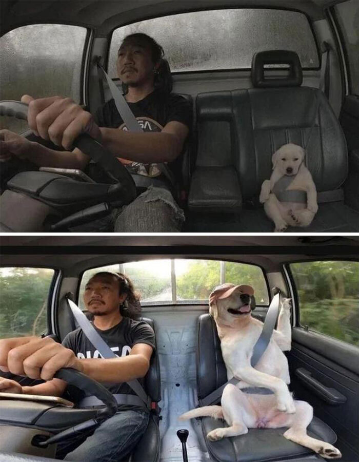 천 마디 말보다 가치 있는 사진들 모음 | 인스티즈