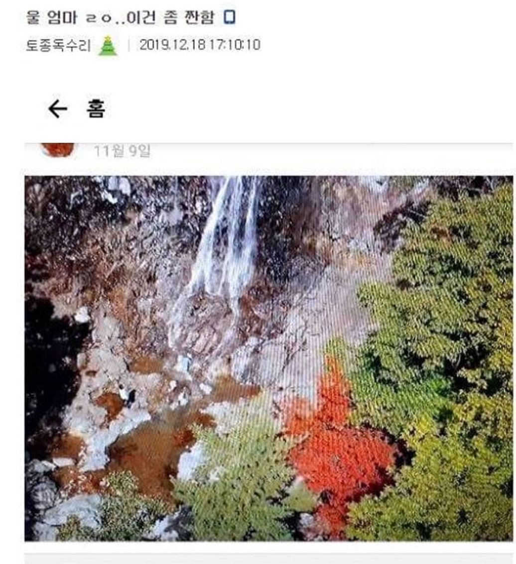 울 엄마 ㄹㅇ 이건 좀 짠함…jpg | 인스티즈