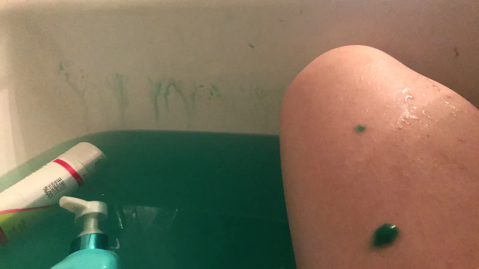 지구 니들 혼자 쓰냐고 욕고있는 해외 유튜버 | 인스티즈