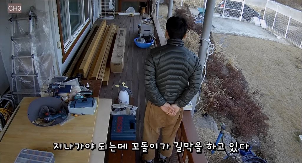 매맞는 삶을 살고 있는 매탈남 근황.jpgif | 인스티즈