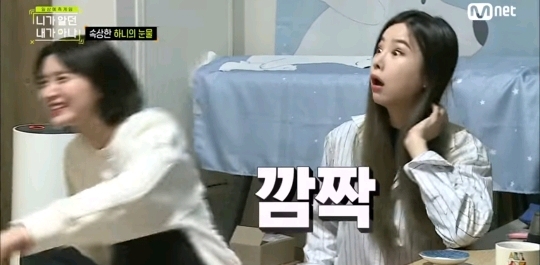 하니가 서럽게 우는 이유.jpg | 인스티즈