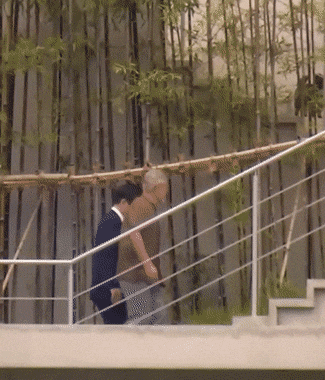 문토리 견상변화(유기견이 사랑받고 자라면 생기는 일) | 인스티즈