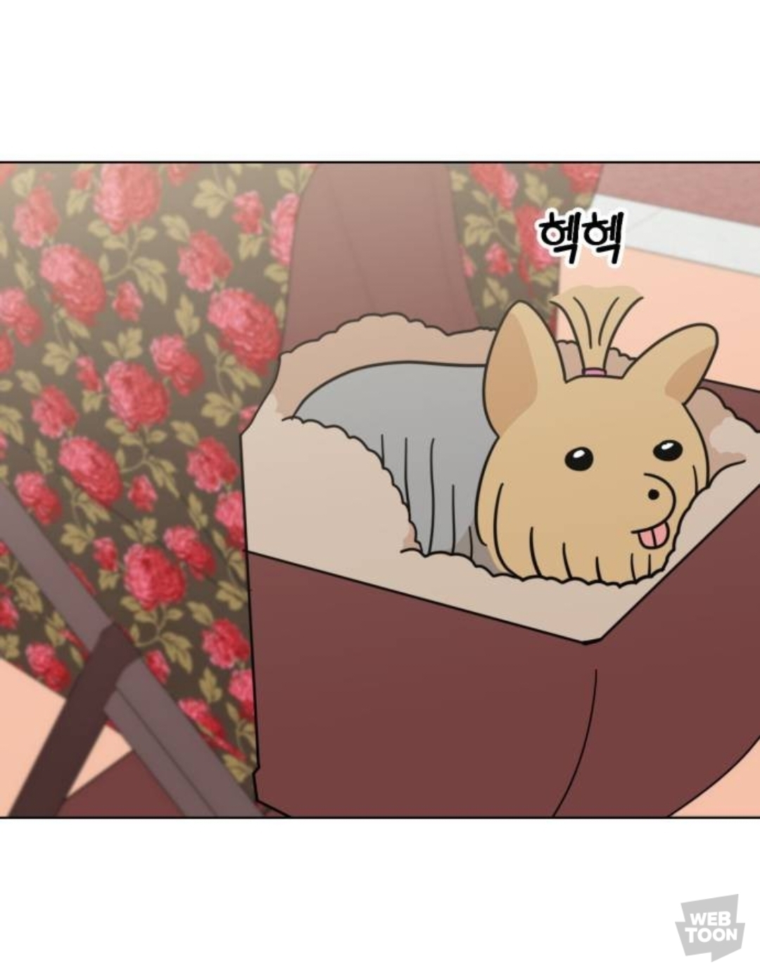 밖에서 보면 큰일난다고 난리난 웹툰 마루는 강쥐 오늘자 에피..jpg | 인스티즈