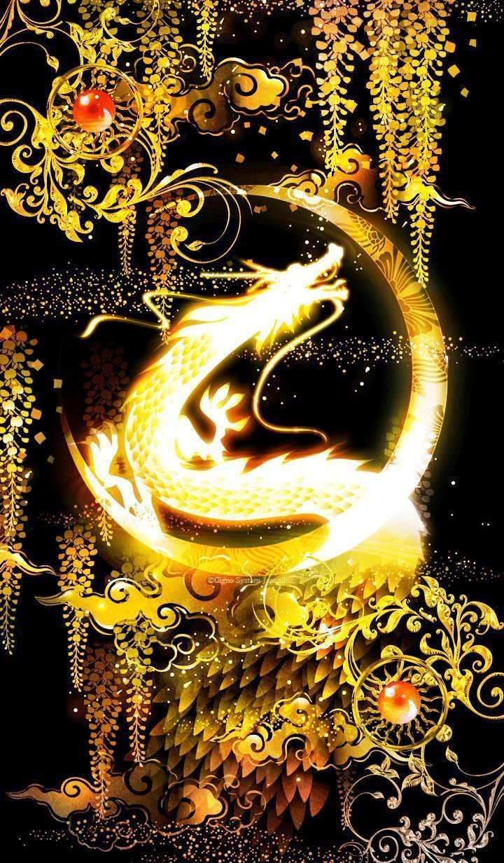 용(dragon) 디자인 볼 때, 솔직히 서양용이 간지날까 동양용이 간지날까 | 인스티즈