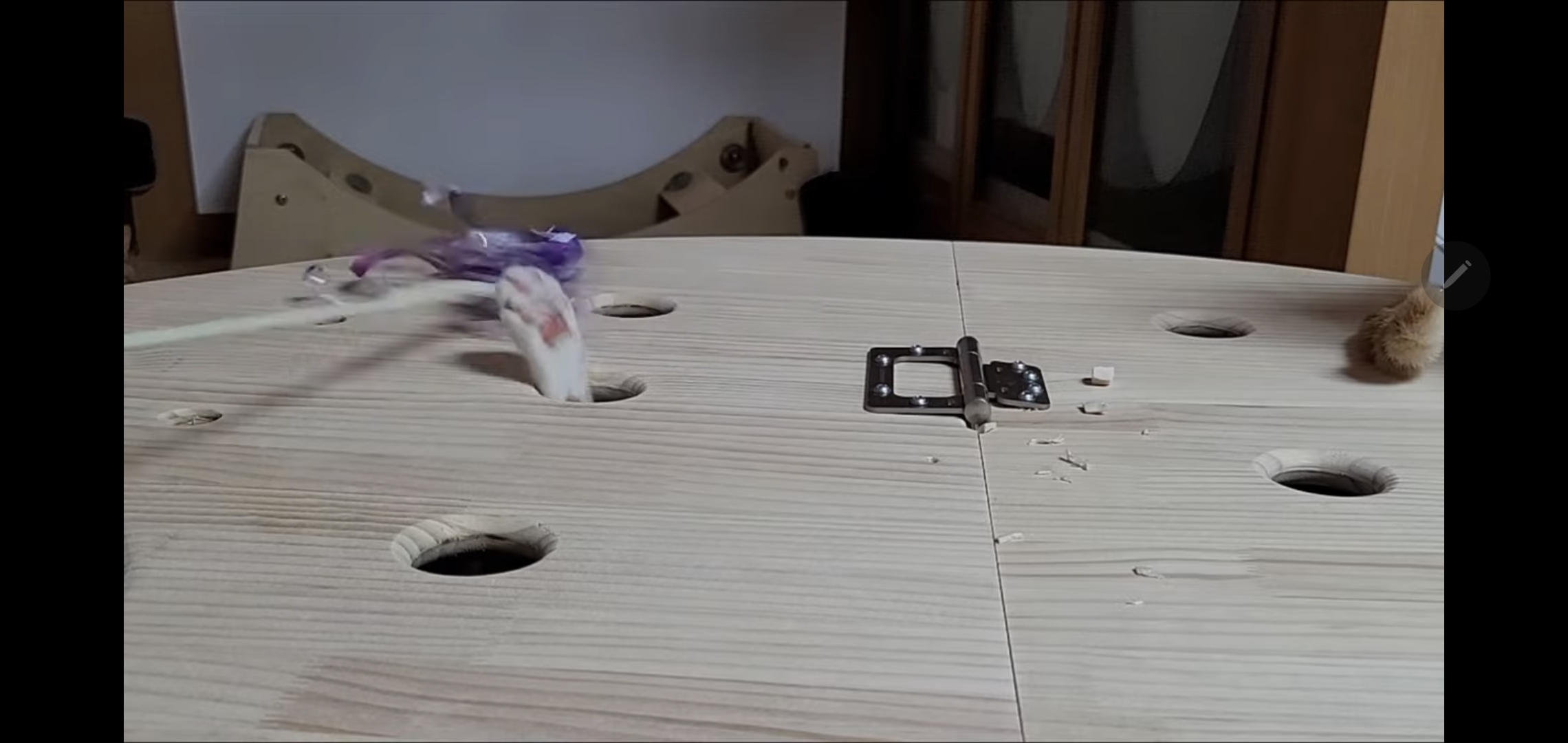 해괴한 고양이 장난감을 만들어낸 오늘자 매탈남.. jpg | 인스티즈